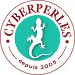  Cyberperles